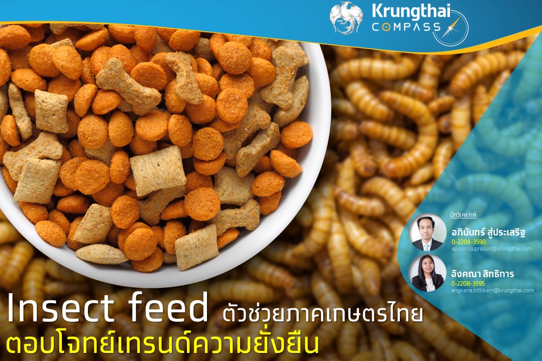 Insect Feed ตัวช่วยภาคเกษตรไทย ตอบโจทย์เทรนด์ความยั่งยืน