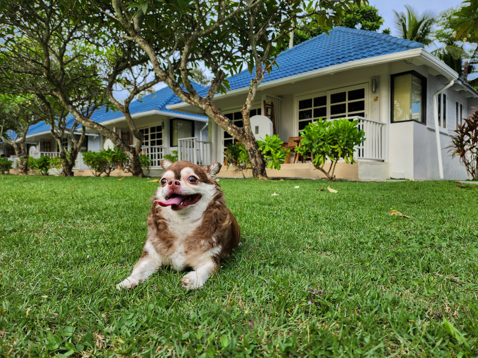 โรงแรมบัญดารา ออนซี ระยอง เอาใจคนรักสัตว์ เปิด package – Pet Friendly เดินหน้ายกระดับสู่ Eco Friendly Hotel