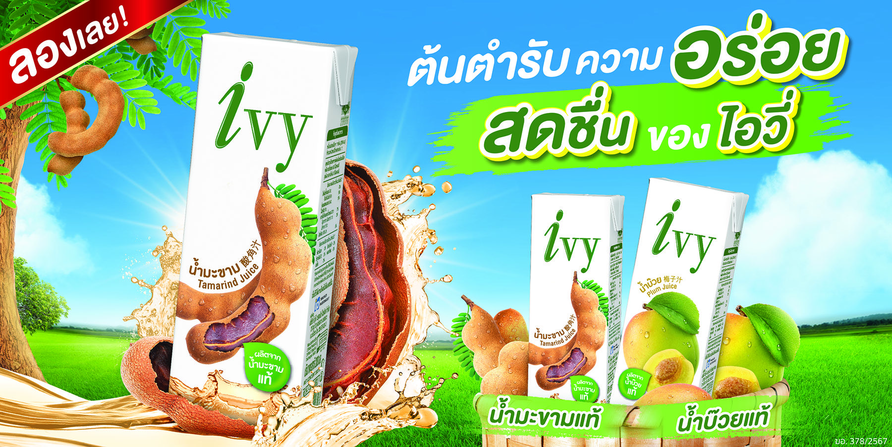 ไอ.พี.วัน ตอกย้ำผู้นำตลาด Experimental Innovation เปิดตัวสินค้าใหม่ รับ Summer ดับร้อนด้วยไอวี่ เอเชี่ยนดริ้งค์