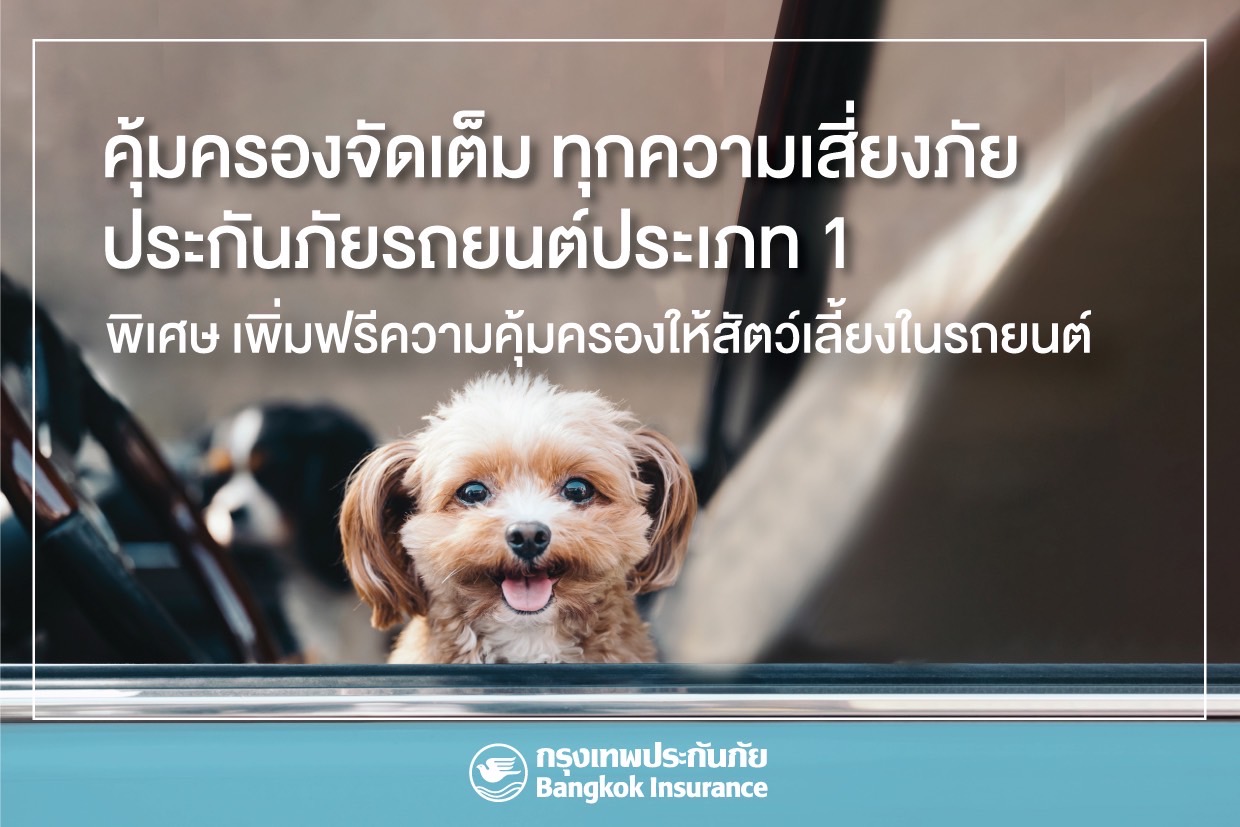 กรุงเทพประกันภัย เข้าใจไลฟ์สไตล์คนยุคใหม่ เพิ่มฟรี “ความคุ้มครองสัตว์เลี้ยง” ให้ลูกค้าประกันภัยรถยนต์ ชั้น 1 ทั้งลูกค้าใหม่และต่ออายุ เริ่มตั้งแต่วันนี้เป็นต้นไป  